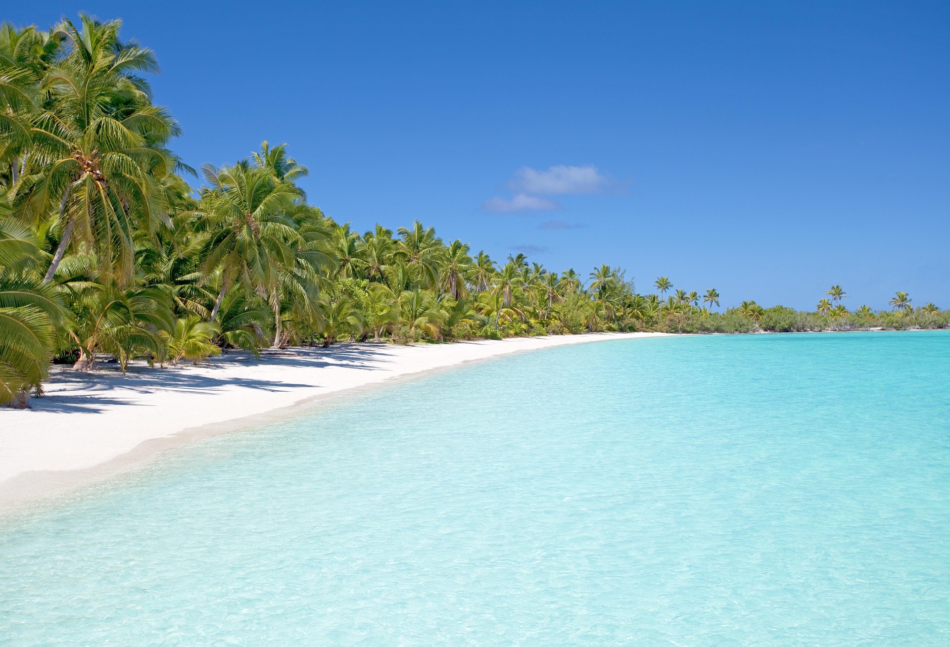 Isla VocalSummer